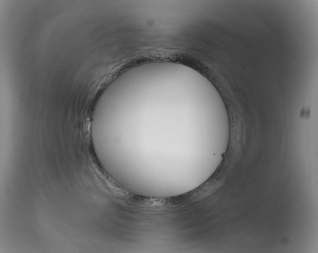 X0000113940624200909250941