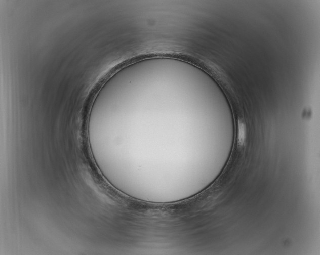 X0000113940627200909250940
