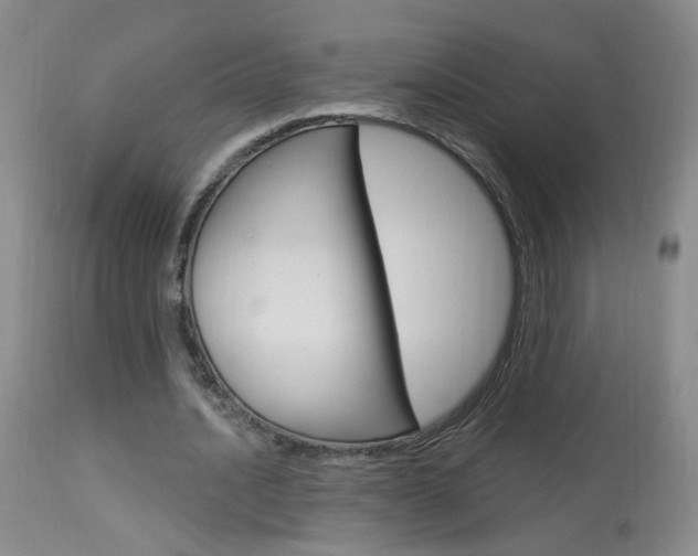 X0000113940628200909250940