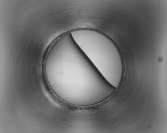 X0000113940630200909250940