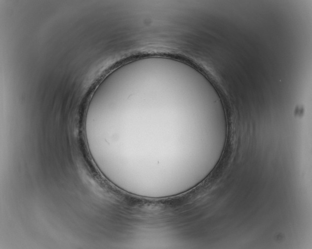 X0000113940631200909250940