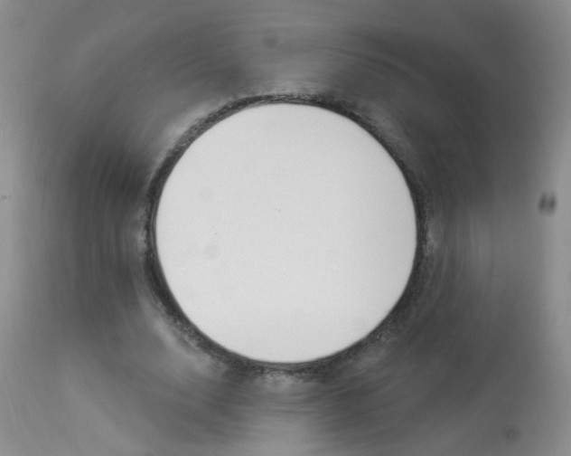 X0000113940632200909250940