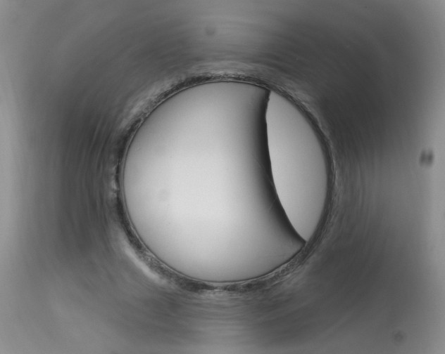 X0000113940633200909250940