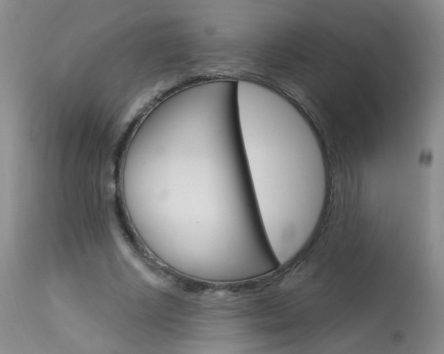 X0000113940634200909250940