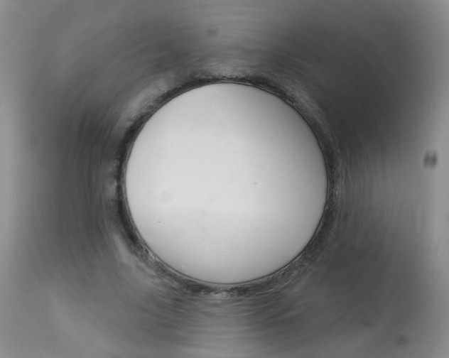 X0000113940635200909250940