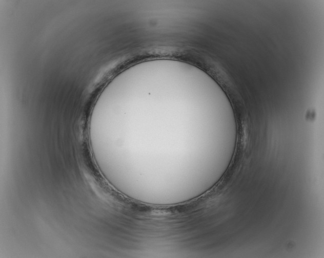 X0000113940636200909250940