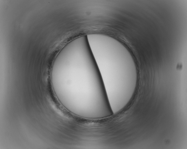 X0000113940637200909250940