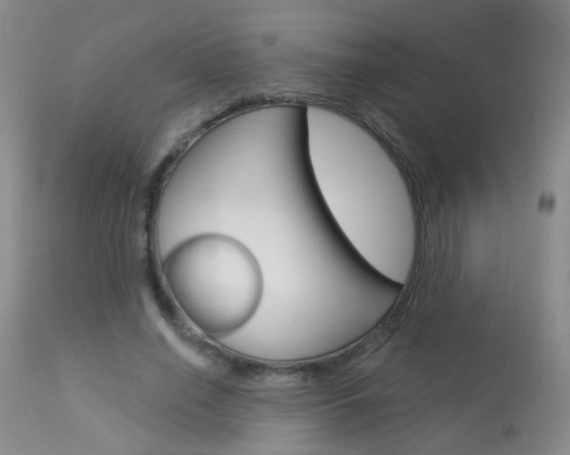 X0000113940638200909250940