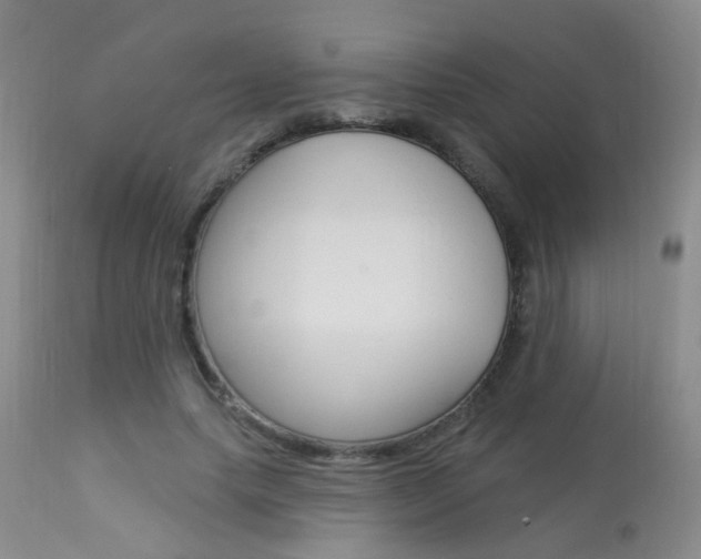 X0000113940639200909250940