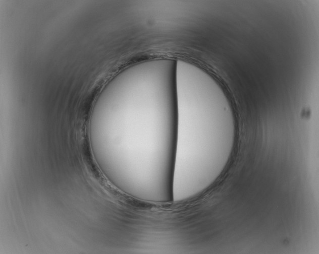 X0000113940641200909250940