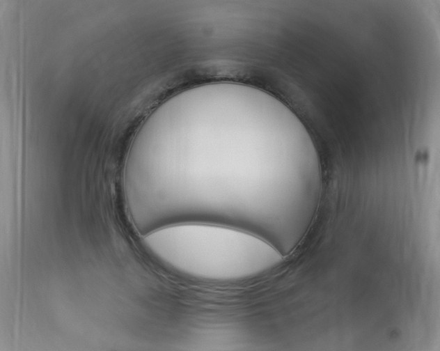 X0000113940643200909250940