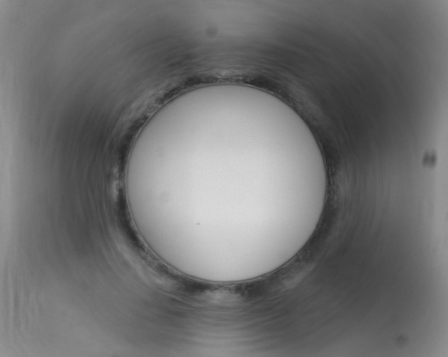 X0000113940644200909250940