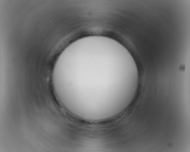 X0000113940645200909250940