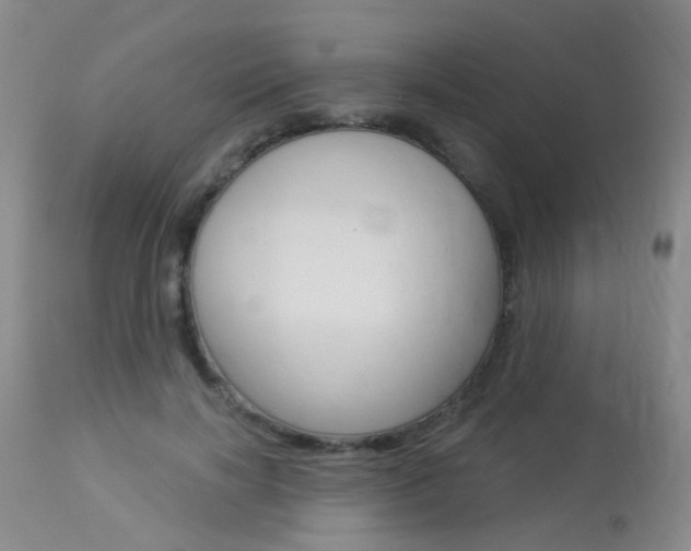 X0000113940646200909250940