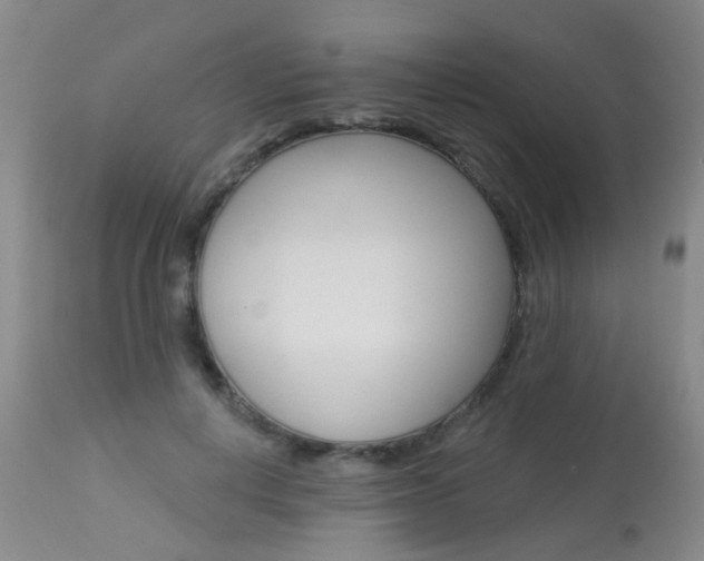 X0000113940648200909250940