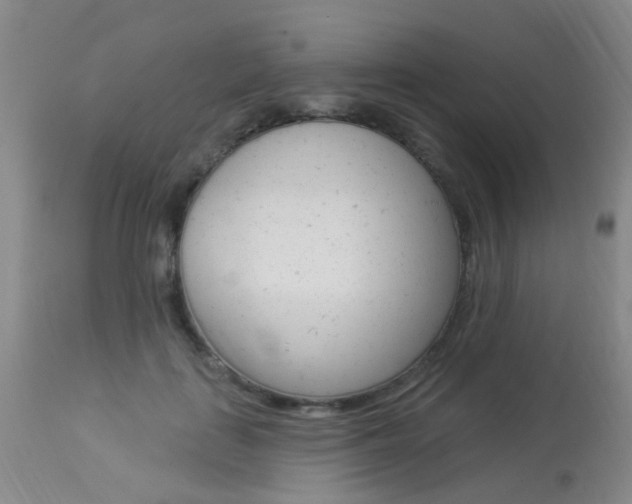 X0000113940651200909250940