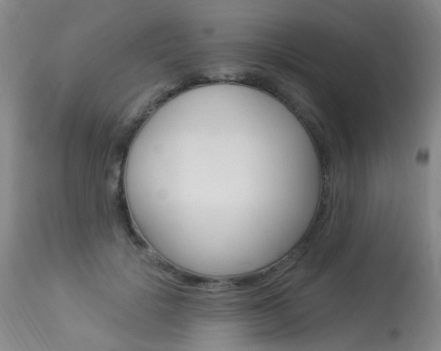 X0000113940652200909250940