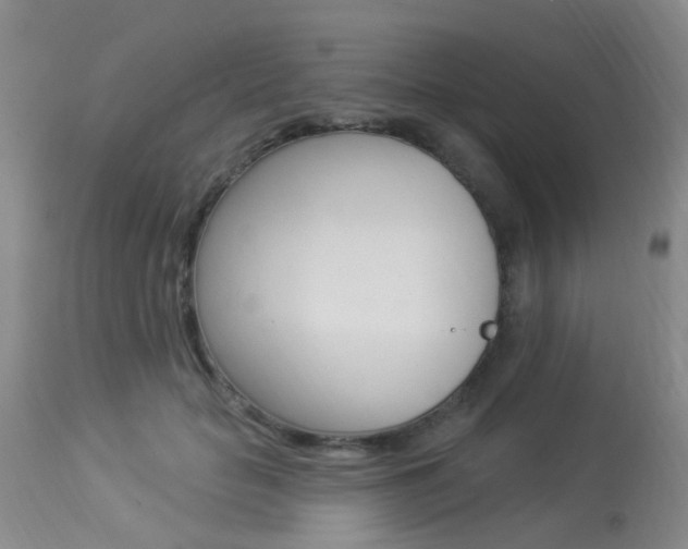 X0000113940653200909250940