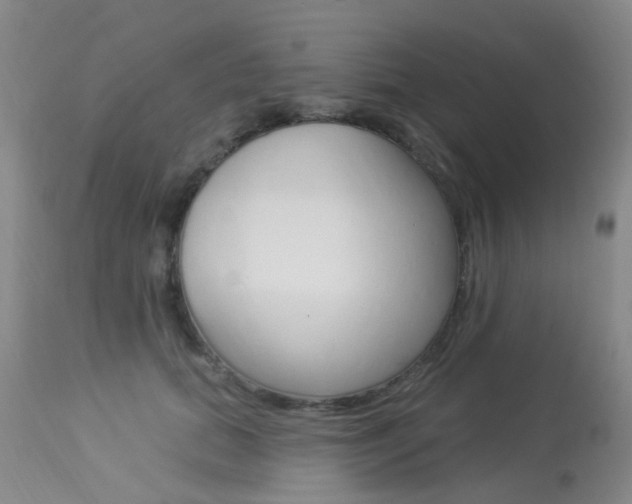 X0000113940655200909250940