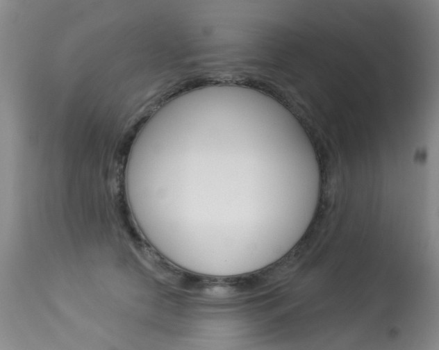 X0000113940658200909250940