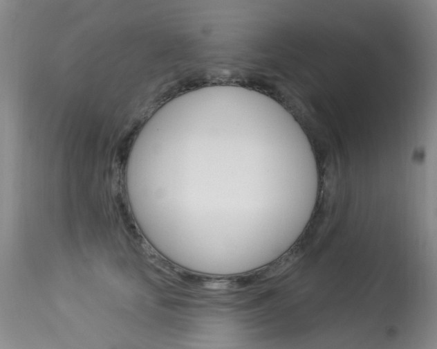 X0000113940659200909250940