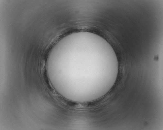 X0000113940660200909250940
