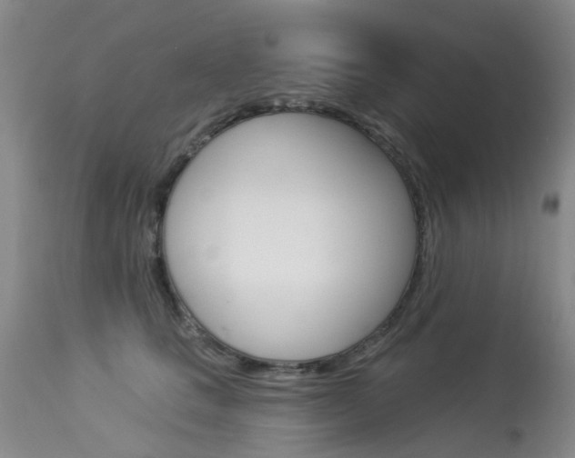 X0000113940661200909250940