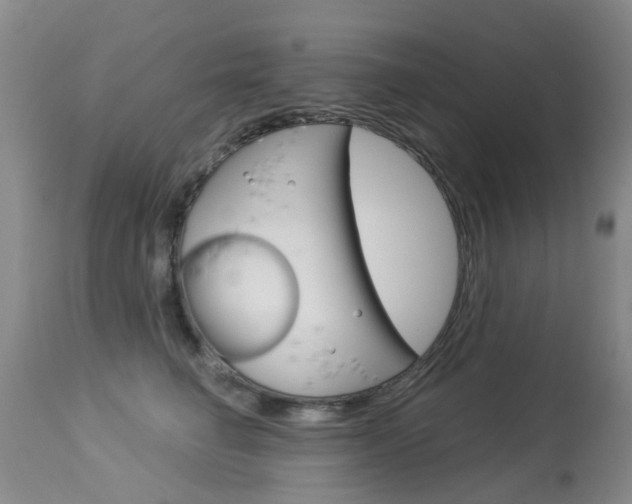 X0000113940662200909250940