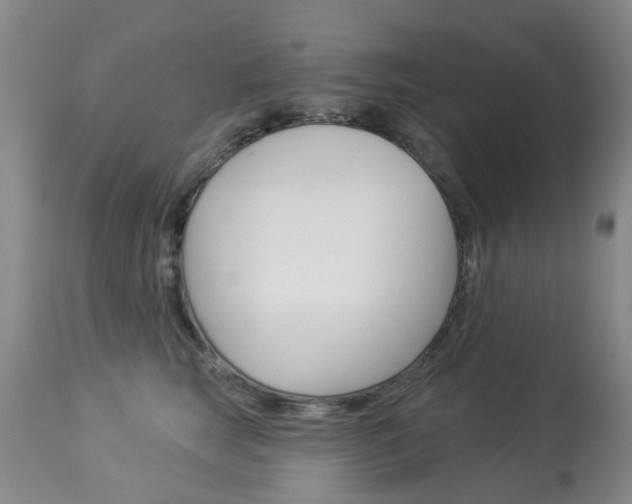 X0000113940663200909250940
