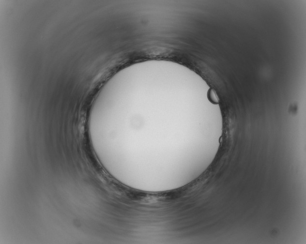 X0000113940664200909250940