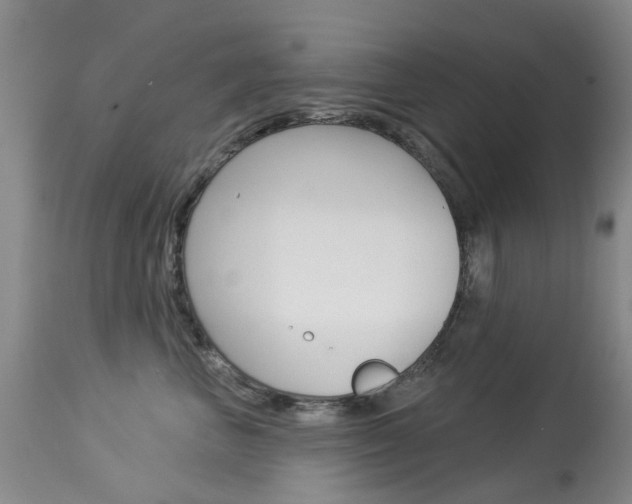 X0000113940667200909250941