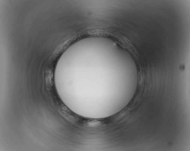 X0000113940669200909250941