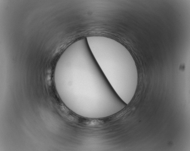 X0000113940670200909250941