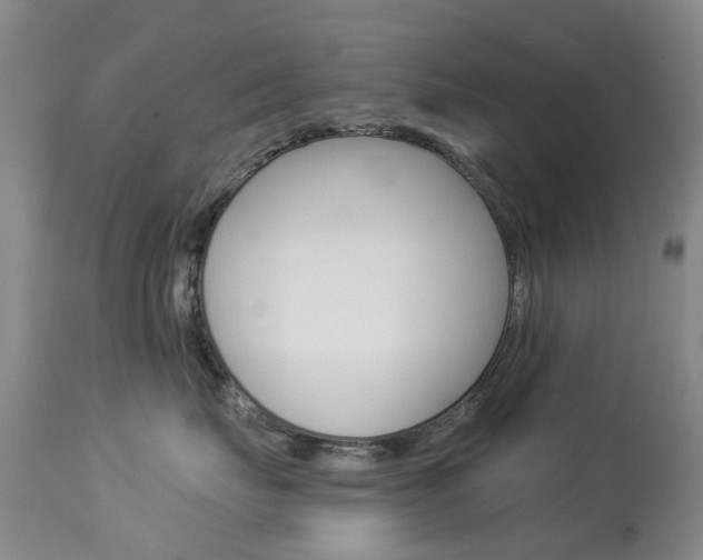 X0000113940671200909250941