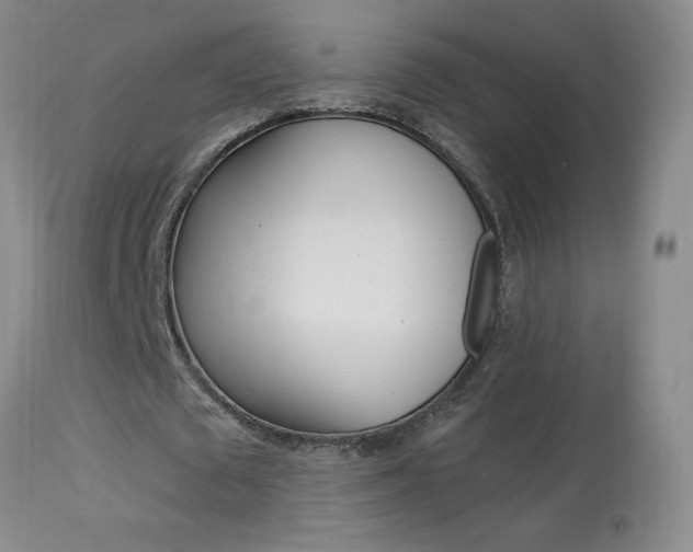 X0000113940673200909250940