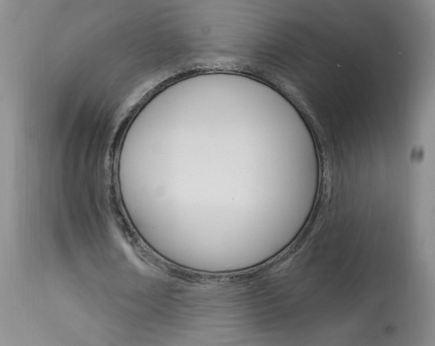 X0000113940674200909250940