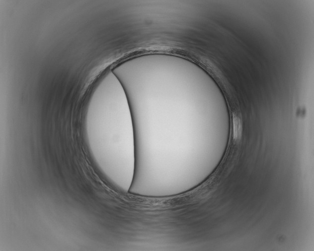 X0000113940675200909250940