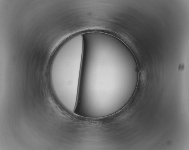 X0000113940676200909250940
