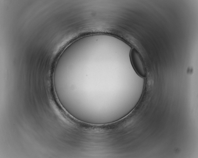 X0000113940677200909250940