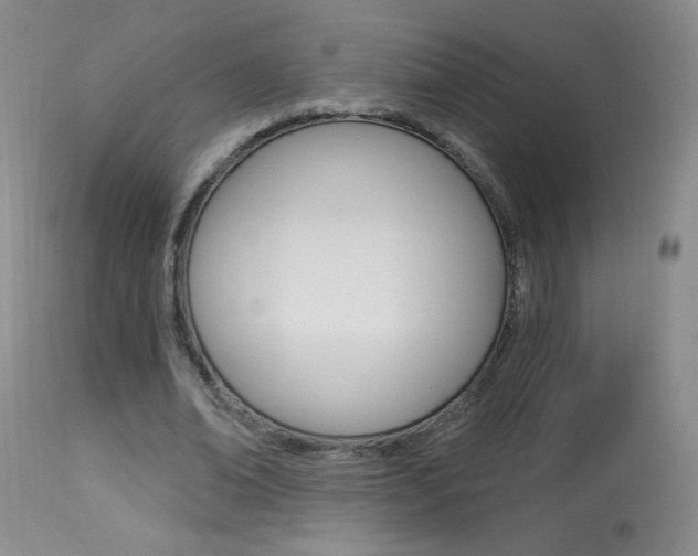 X0000113940678200909250940