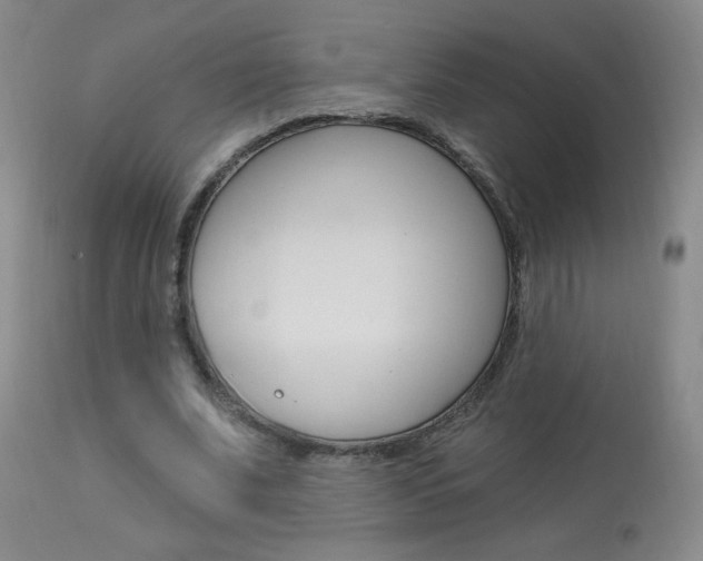 X0000113940679200909250940