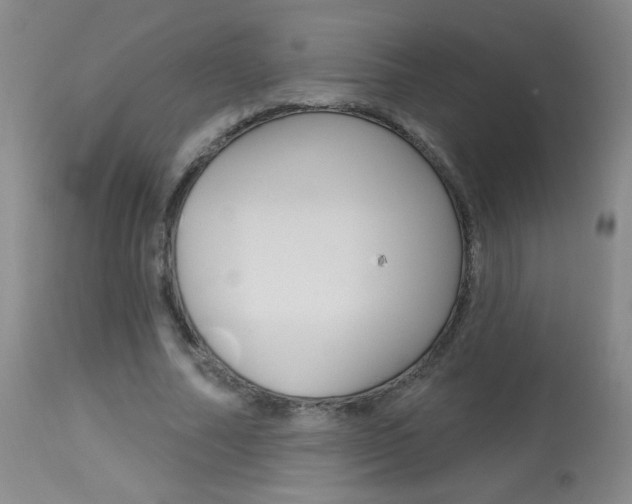 X0000113940682200909250940