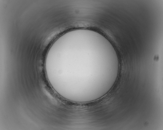 X0000113940683200909250940
