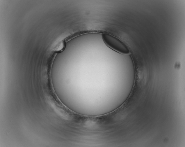 X0000113940684200909250940