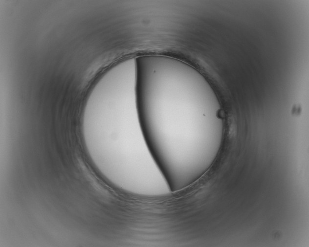 X0000113940685200909250940