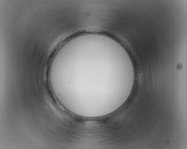 X0000113940686200909250940