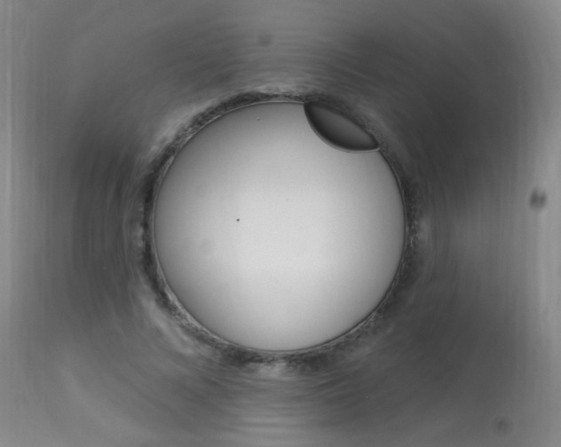 X0000113940688200909250940