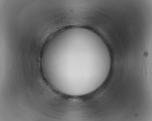 X0000113940689200909250940