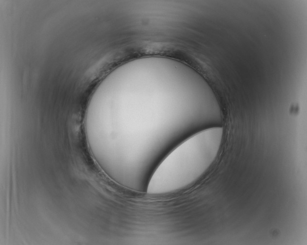 X0000113940691200909250940