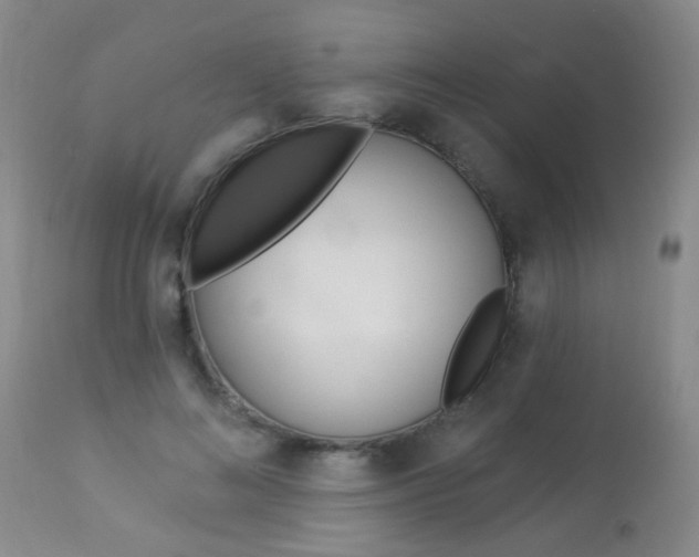X0000113940692200909250940